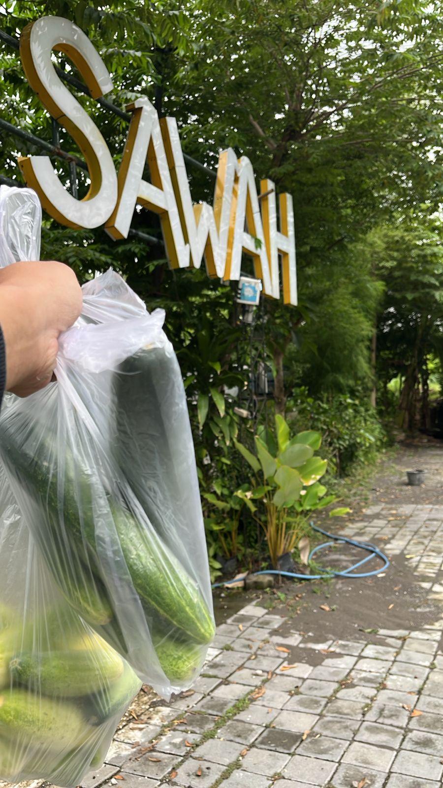 Farmers Income Growth